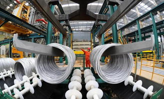 国标修订丨东北特钢集团主持修订的 高碳铬轴承钢丝 国家标准通过审定